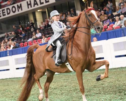 rider in custom suit